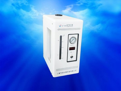 SP-300氫氣發(fā)生器圖片1